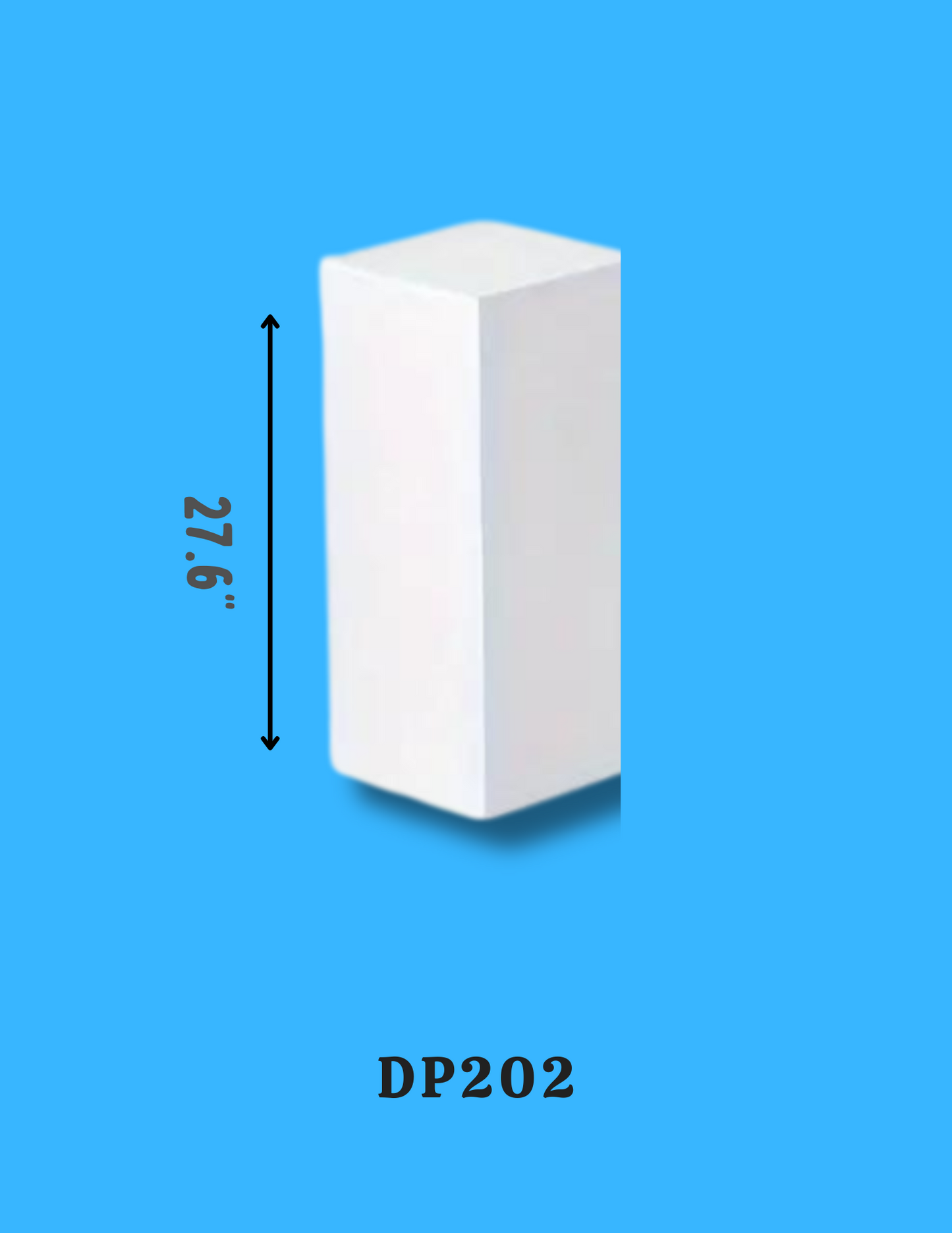 Display Podium DP202