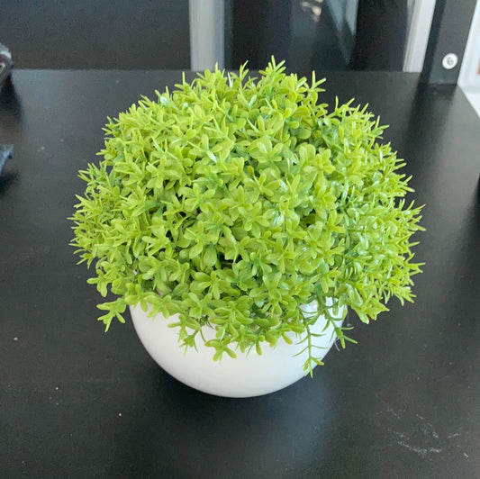 Artificial Plant [FREE-Click for details]